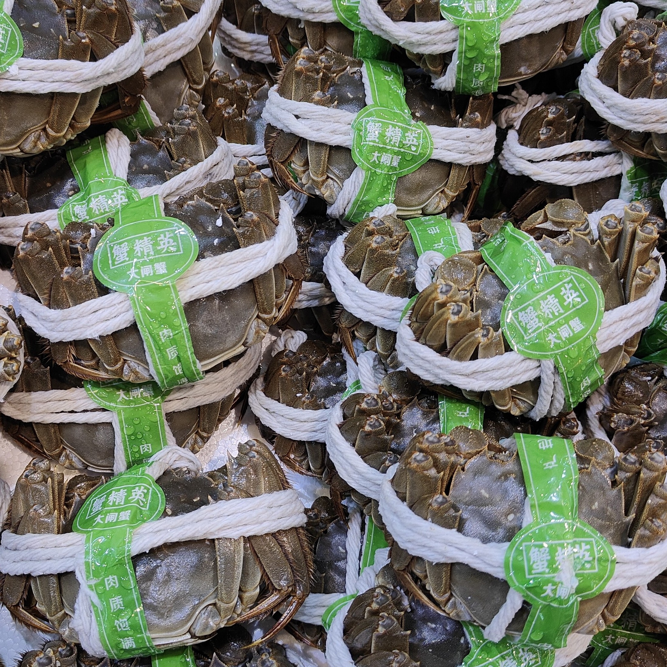 江苏大闸蟹4母(45元)个