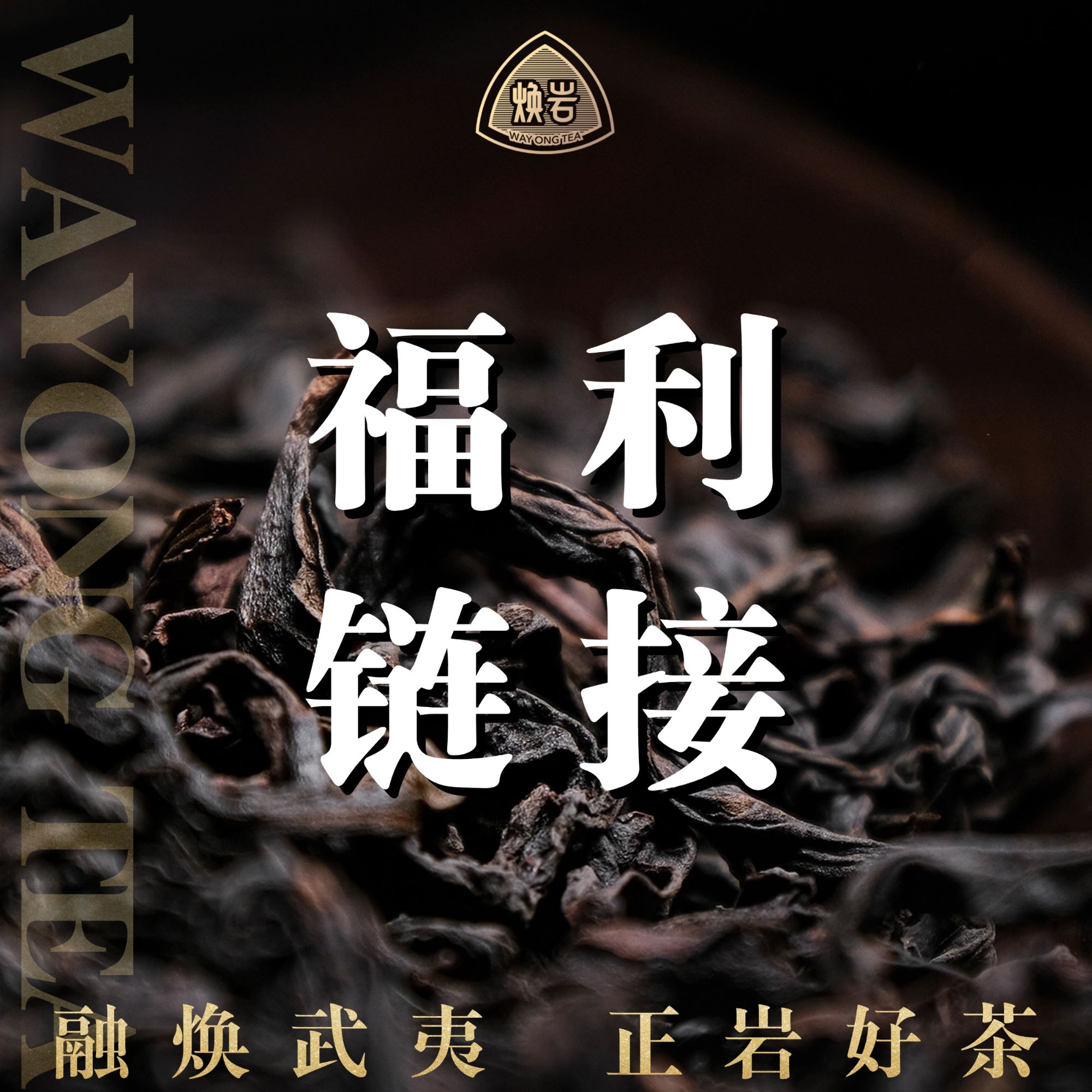 【焕岩好茶福利】融焕武夷 正岩好茶  武夷岩茶 代拍链接