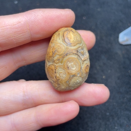 石材纯天然奇石原石99