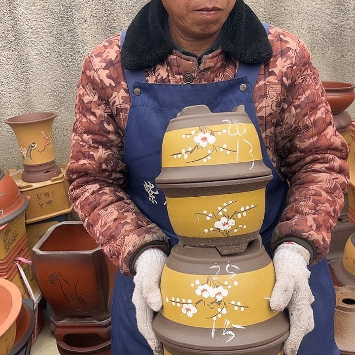 紫砂紫砂花盆和一条