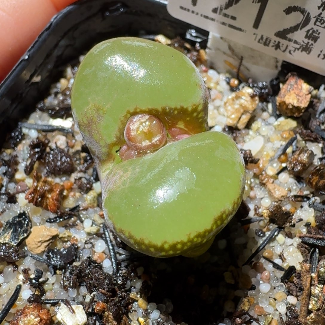 Sss精品清货了1212