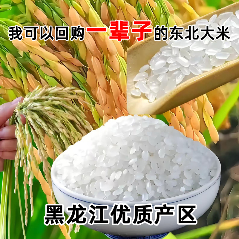 【新店福利】黑龙江大米 黑土地种植圆粒米一年一季软糯清香小包装