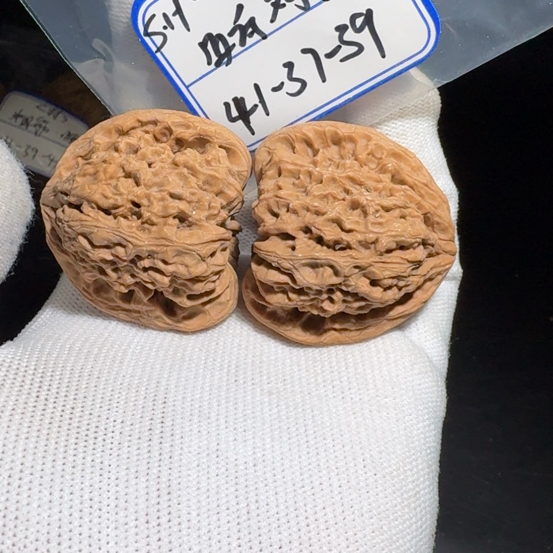 文玩核桃把件10号村将hs