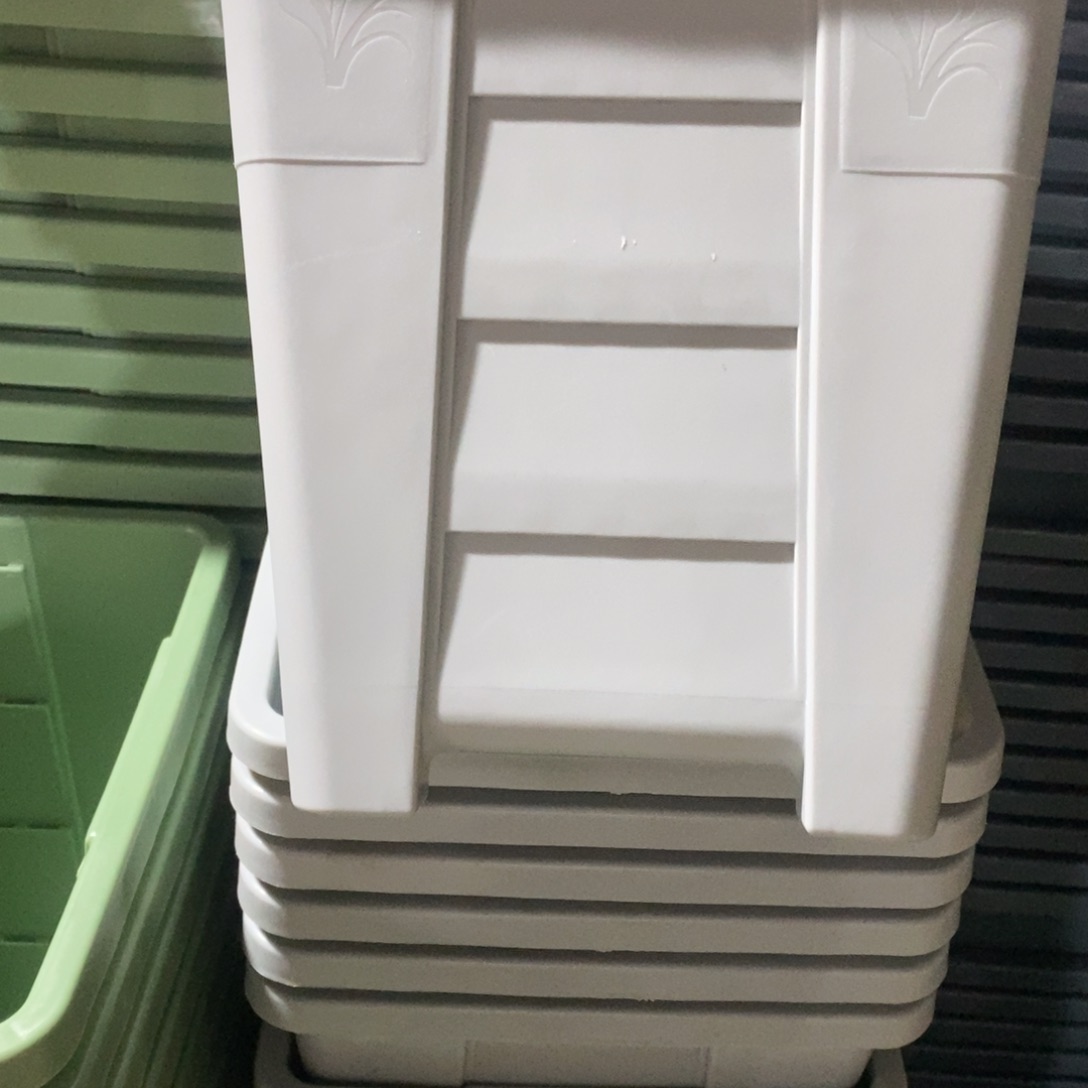 编号301无拖无拖