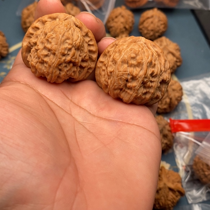 文玩核桃把件白狮子