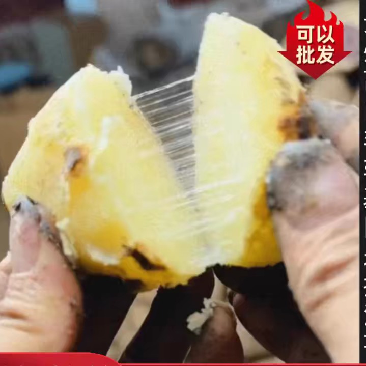 促销【贵州屋脊•高寒山区糯土豆】2700米群山生长糯香好吃无污染