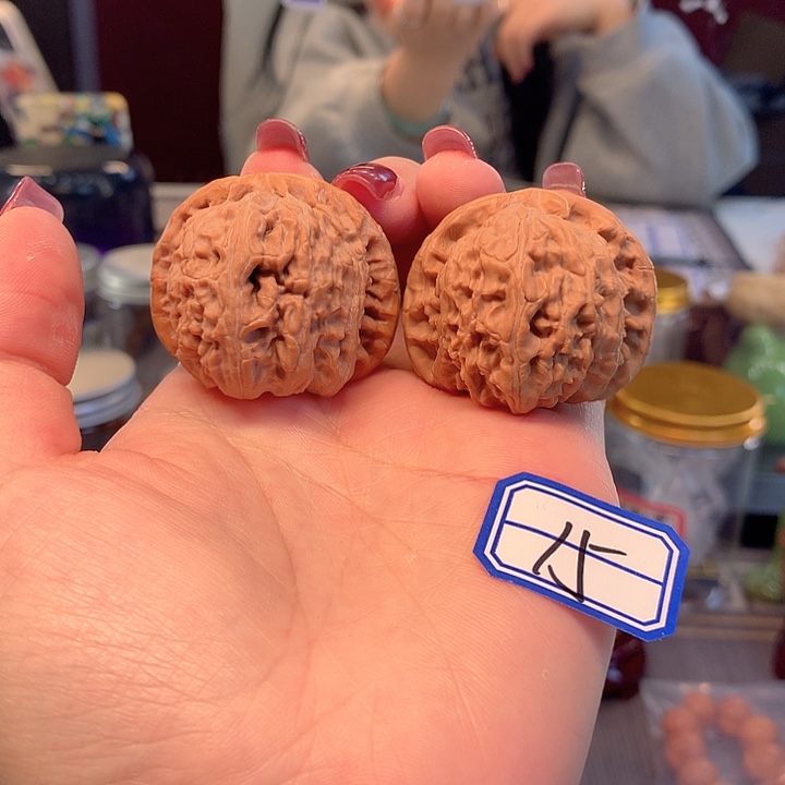 木质类白狮子41尺寸