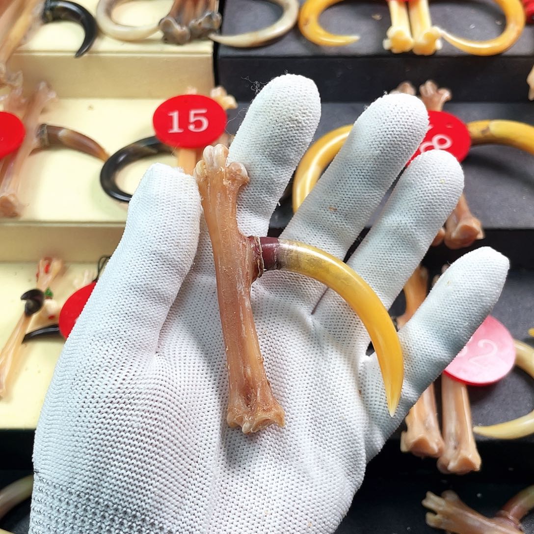 鸡骨（鸡脚）把件小***?手把件