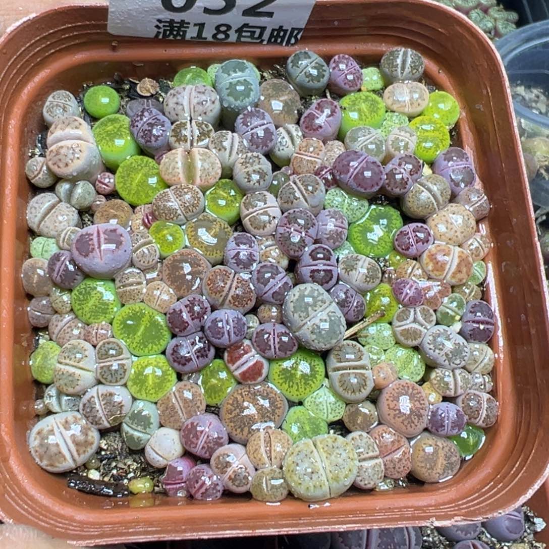 【闪购商品】 052。    