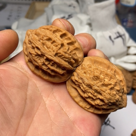 把件文玩核桃7号核桃东
