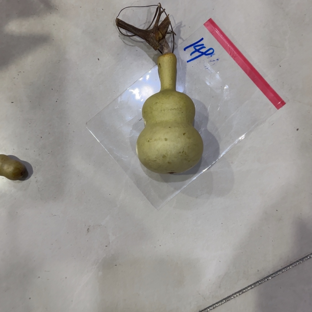 且****青皮不包成青皮不包成