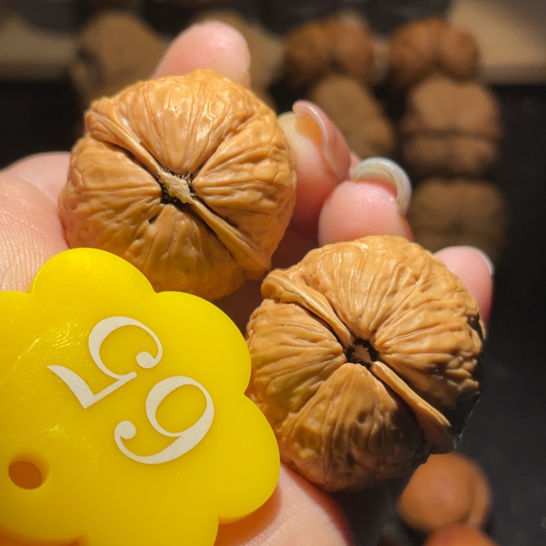 肉丸子31尺寸核桃