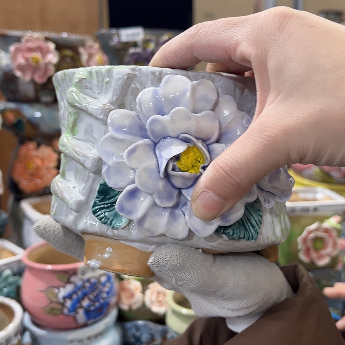 【闪购商品】红陶福利