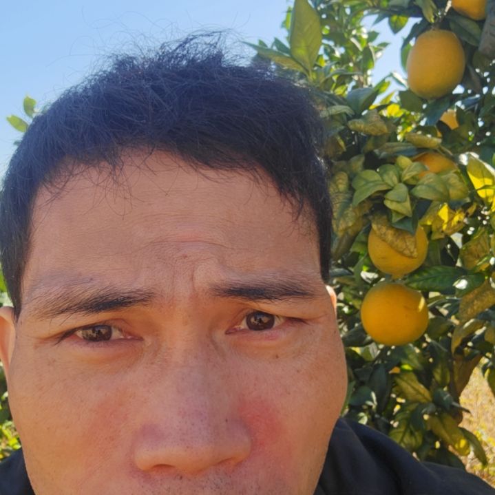 脐橙正宗赣南脐橙现摘基地直发