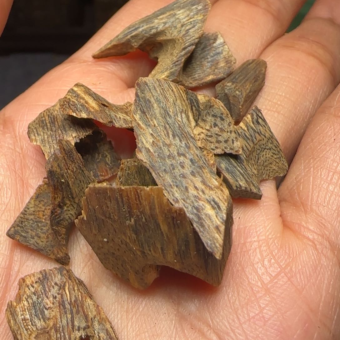 树脂制品用****5一代苗白旗