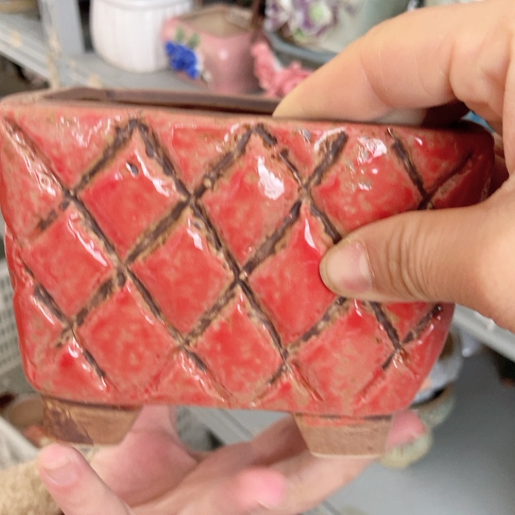 【闪购商品】红陶福利