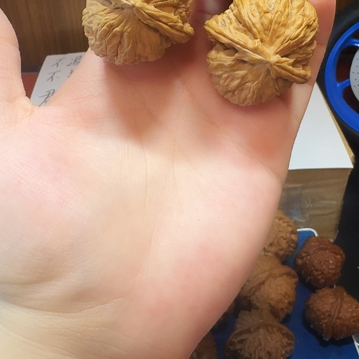 文玩核桃吊坠34尺白狮子