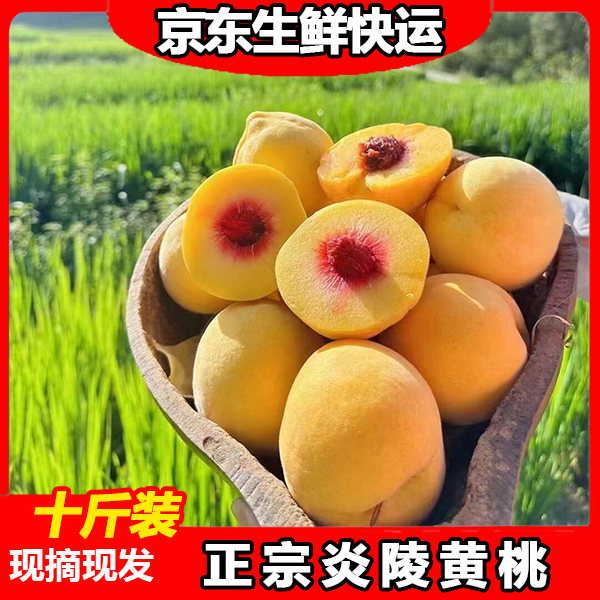 【正宗炎陵黄桃】京东快递现摘现发锦绣黄桃新鲜水果10斤装