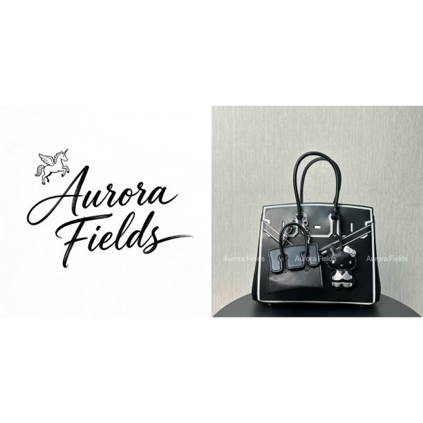 【Aurora Fields】25恶搞款 幻影 手提包