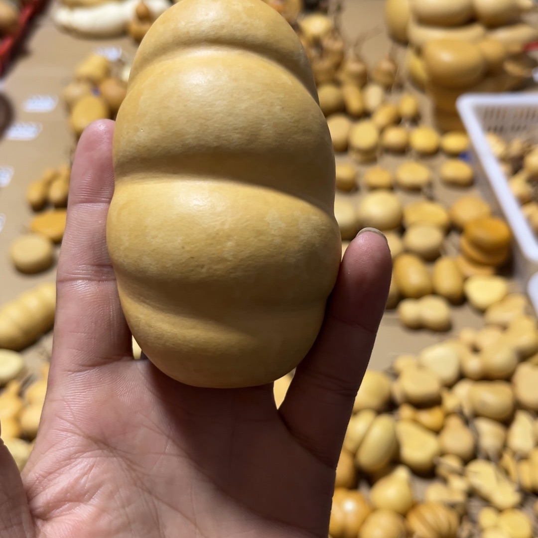 葫芦凹*曼面包不退不换