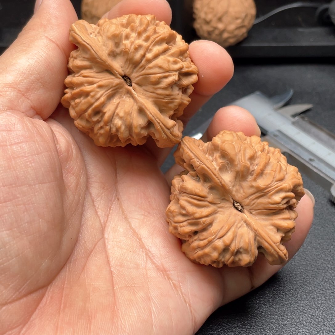 文玩核桃把件官帽