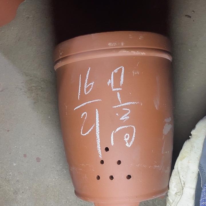 红陶紫砂紫砂紫砂