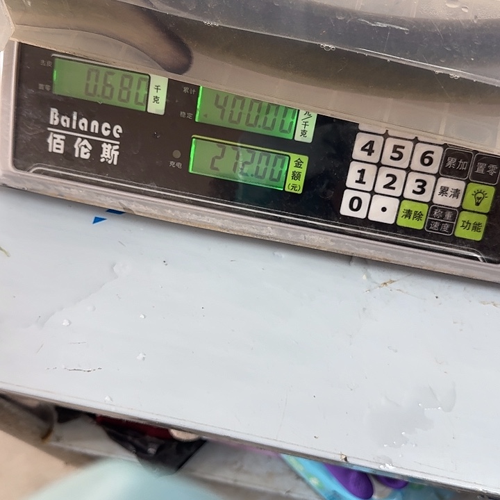 野生鳗鱼包活到家