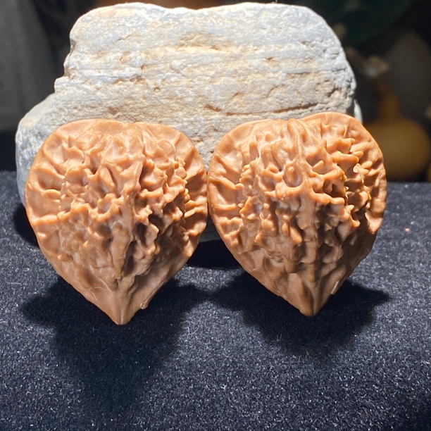 文玩核桃一物一图31全品珊瑚塔小手捻毕业对