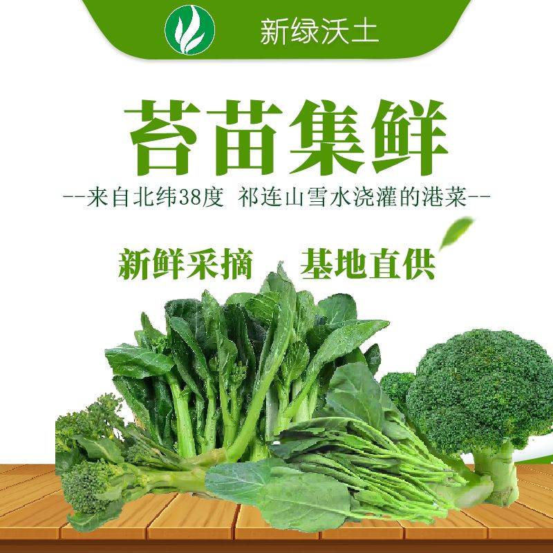 新鲜时令蔬菜供港蔬菜现摘现发苔苗集鲜兰花苔芥兰苗菜心苗西兰花