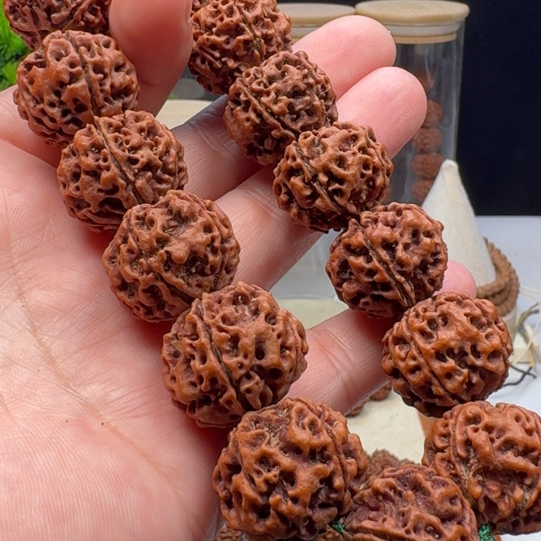 金刚菩提手串梁蜂王