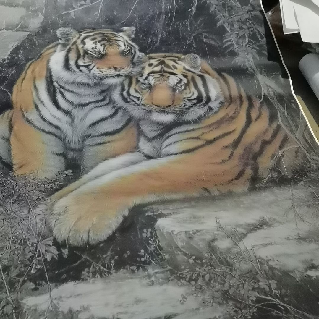 琴***斋书法书法作品书法欣赏书法作品