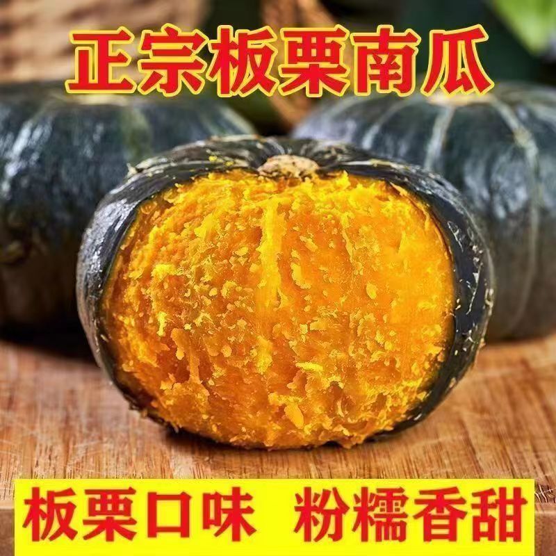 正宗贝贝南瓜粉糯香甜板栗味新鲜现摘适合宝宝辅食