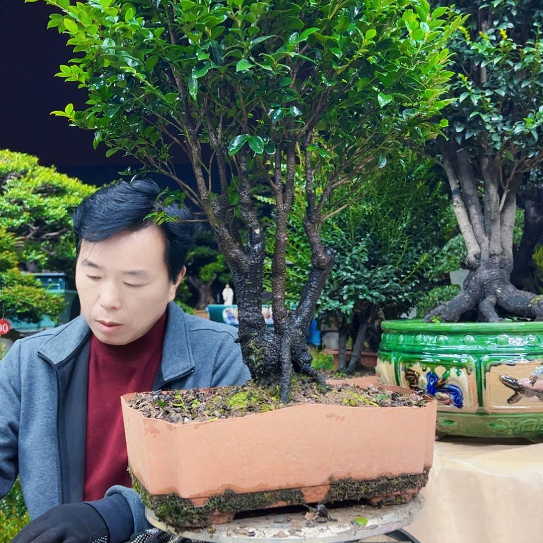 以实际为准梦**清123455678