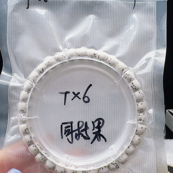 吊坠星月菩提7.6河豚单圈