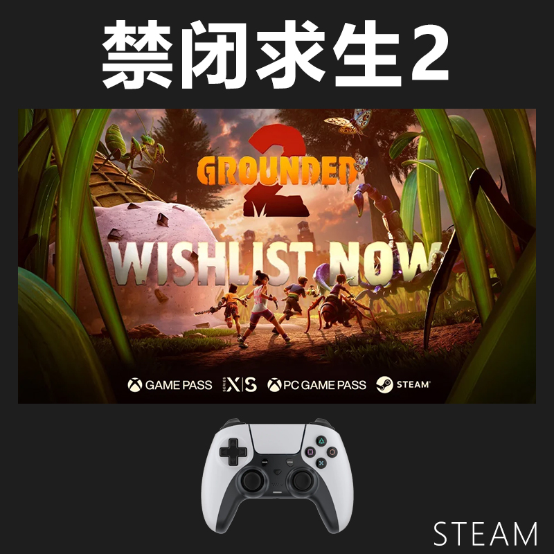 【禁闭求生2】steam游戏入库支持 PC无线游戏手柄蓝牙有线双人