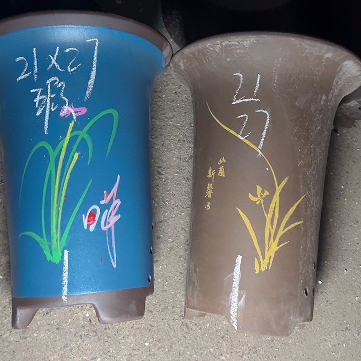 学生周三周四自始至终 