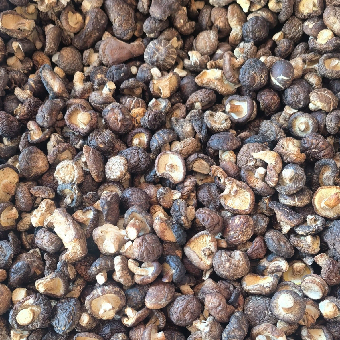 【顺丰包邮】特产野生生态小香菇干货煲汤炒肉佳品250克