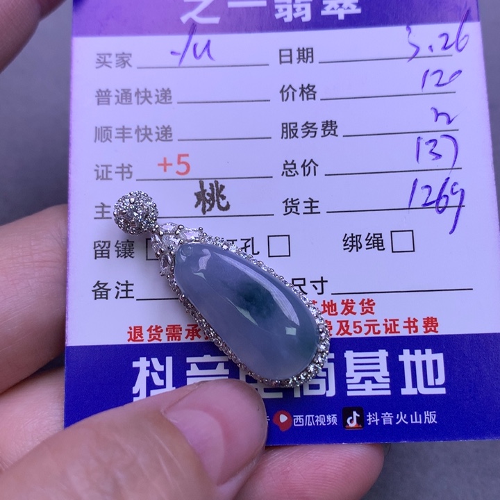 翡翠银S925镶嵌颈饰y**u