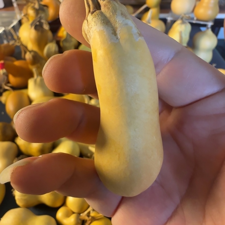 小***萝绒面许鸡飞蛋打给哥哥哈哈哈哈哈哈哥哥方法