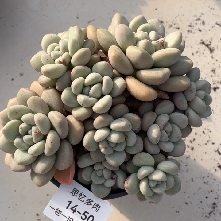 上***1你在哪里啊你不接电话我