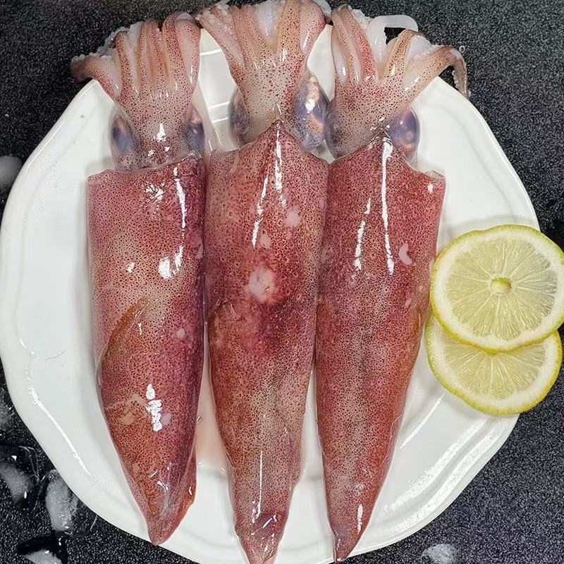 【4斤鱿鱼】台州东海野生笔管鱿鱼 1斤7-8只 