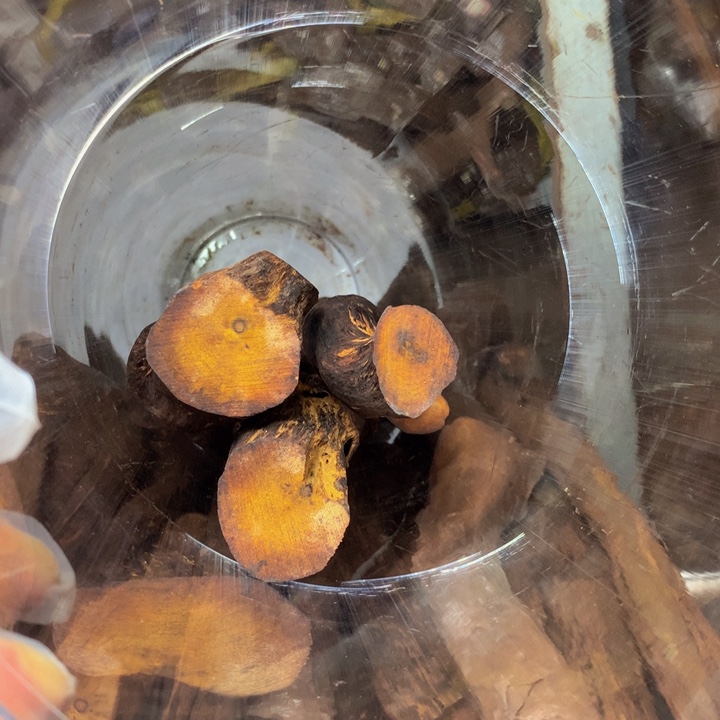 贝壳s**Q降真香原料定制