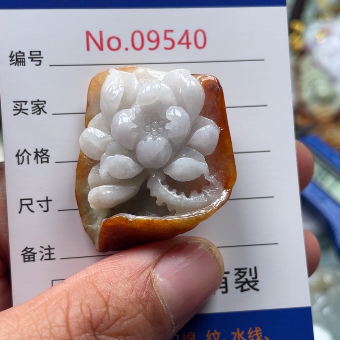 翡翠颈饰未镶嵌翡玉缘翡翠挂件