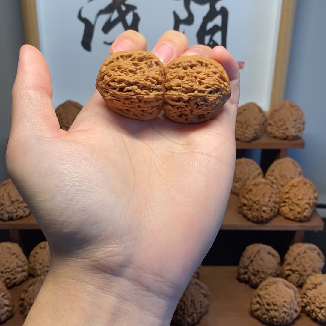 核桃南疆石35尺对歪鹰嘴