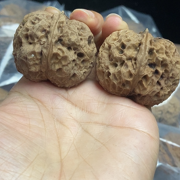 把件文玩核桃云南铁核桃基地73