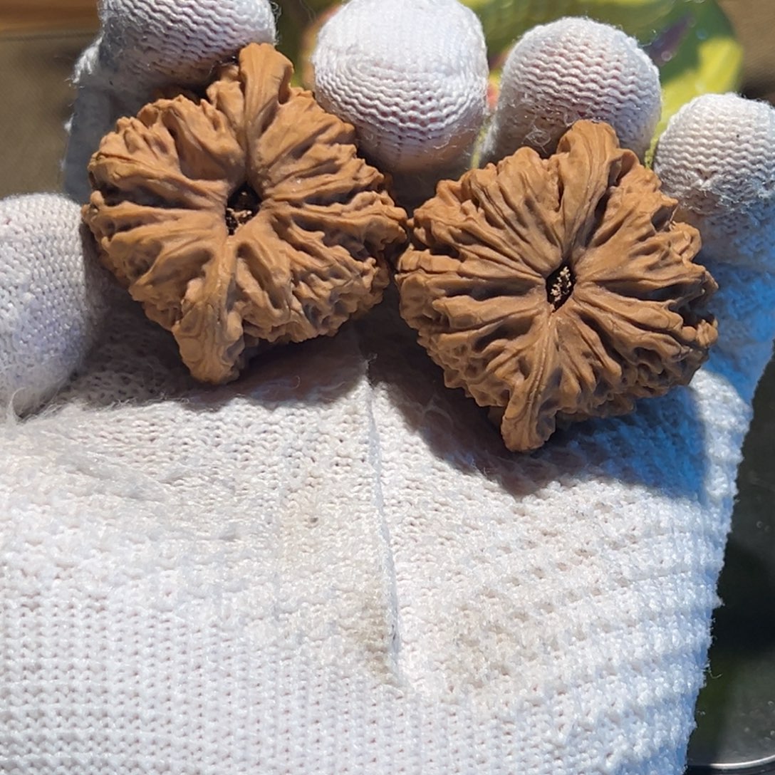 L***L吊坠文玩核桃43涿鹿三角