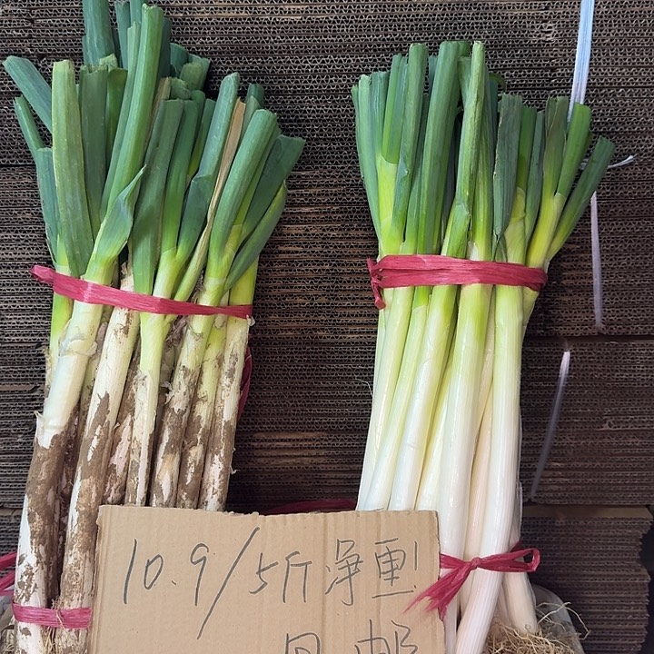 山东铁杆大葱5斤中国大陆