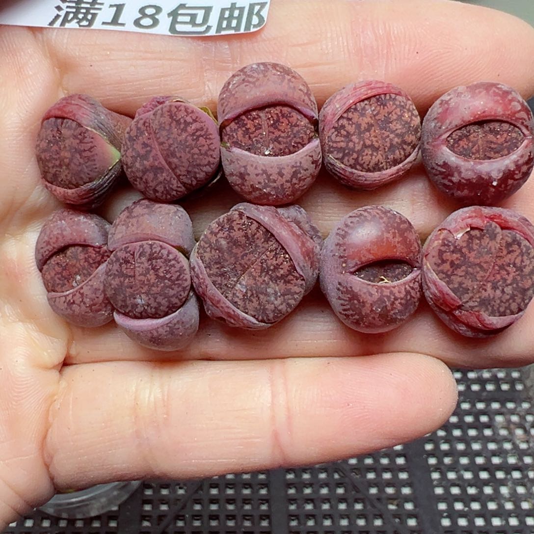 【闪购商品】801……