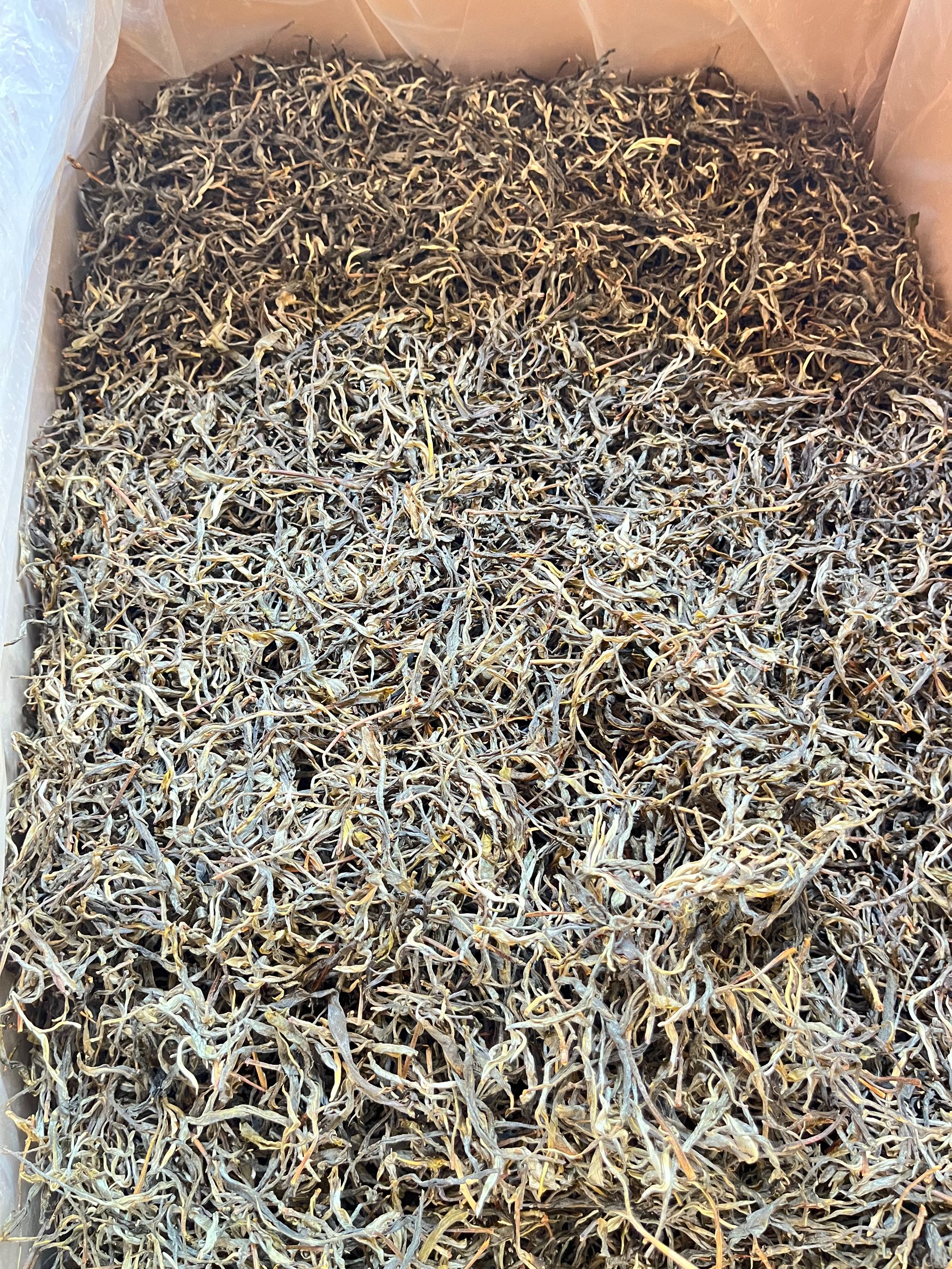 普洱生茶茶样2泡装和16泡装喝到不同山头