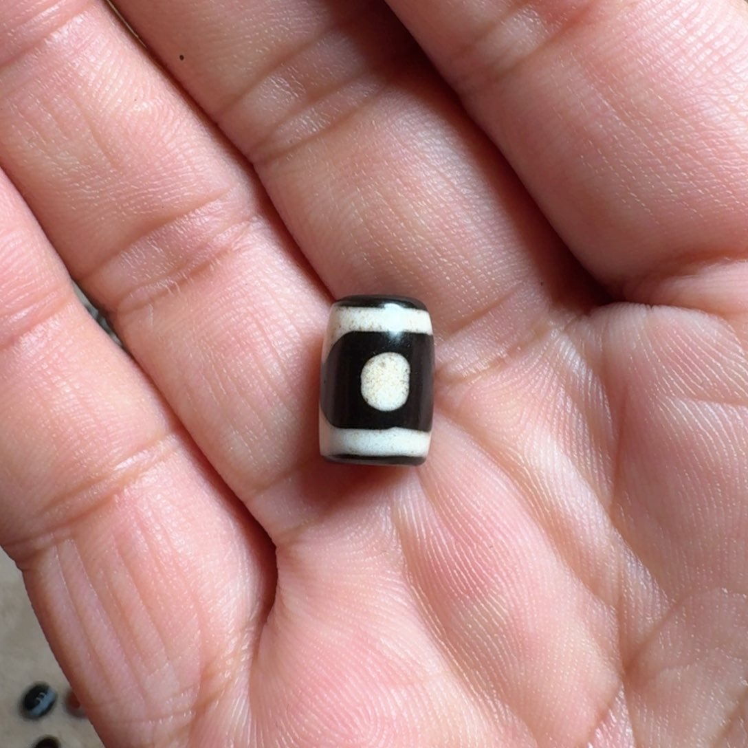 熊猫熊猫熊猫二眼一颗